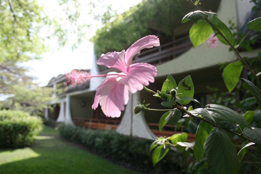 Hotel Club Du Lac Tanganyika Bujumbura Kültér fotó